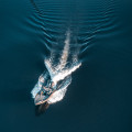 Understanding Claims-free Discounts for Boat Insurance